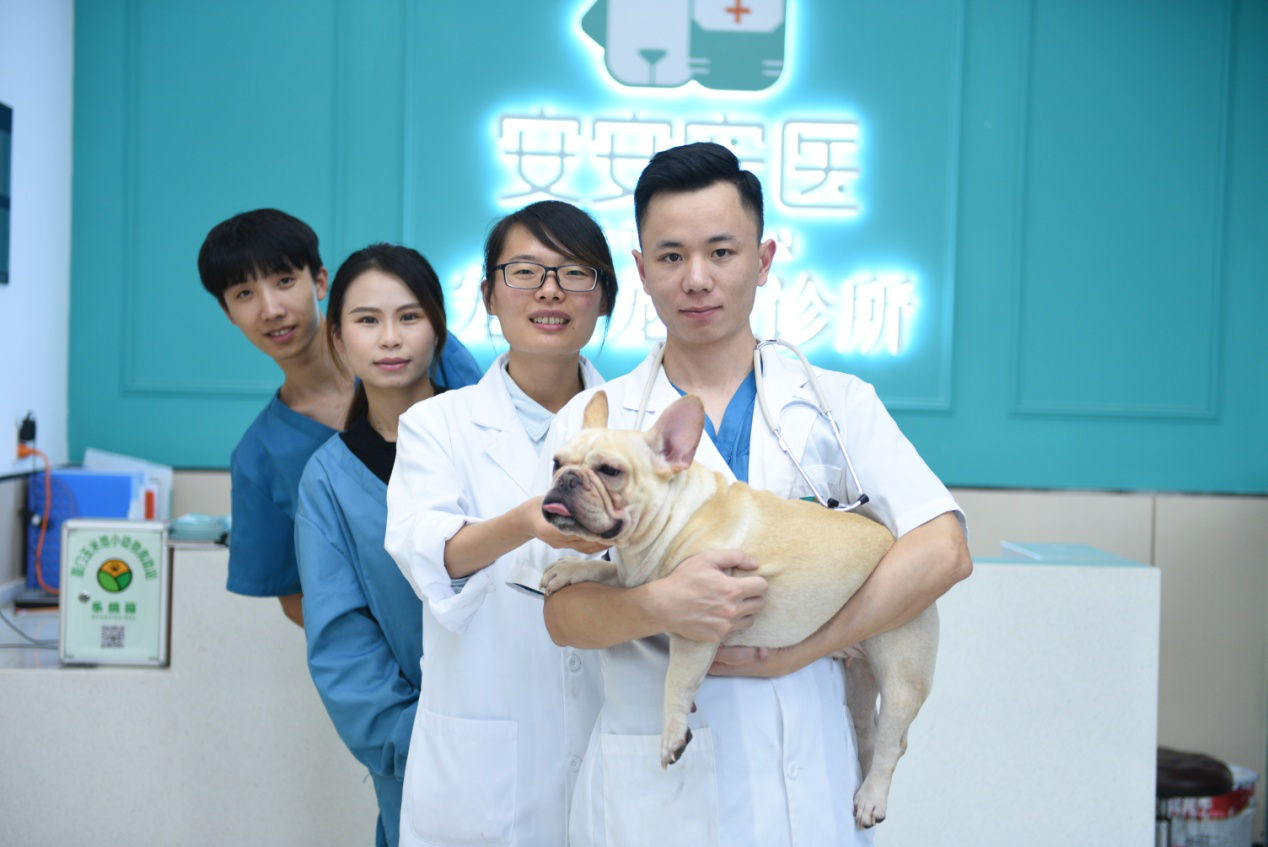 联合简介 - 联合宠物医院 - 深圳市联合宠物医院