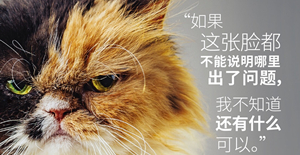 猫咪呕吐还有黄水是怎么回事[猫咪呕吐症状]