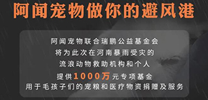 阿闻宠物联合新瑞鹏集团瑞鹏公益基金会设立1000万专项基金，救助河南受灾毛孩子