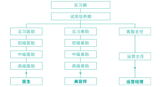 实习生培训晋级路径